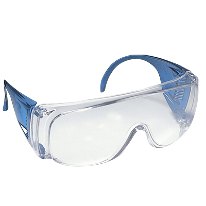 Visitor Spectables Visitor Spectables