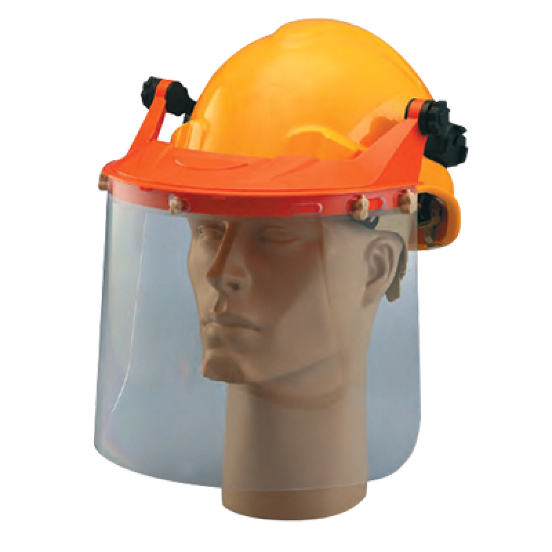 Carrier with Cylinder Clear Visor