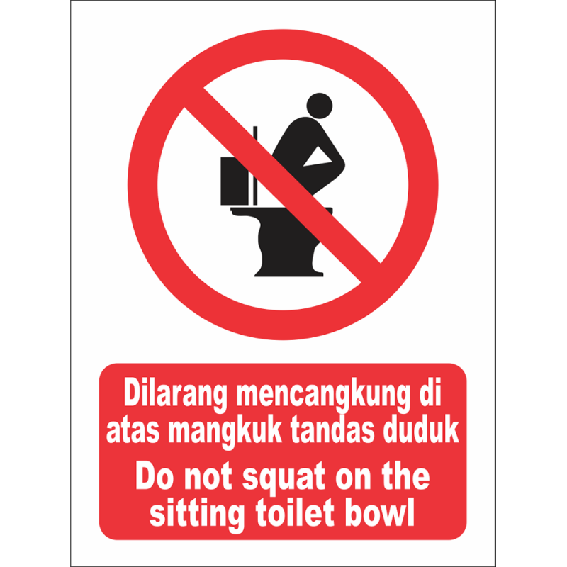 Do not squat on the sitting toilet bowl